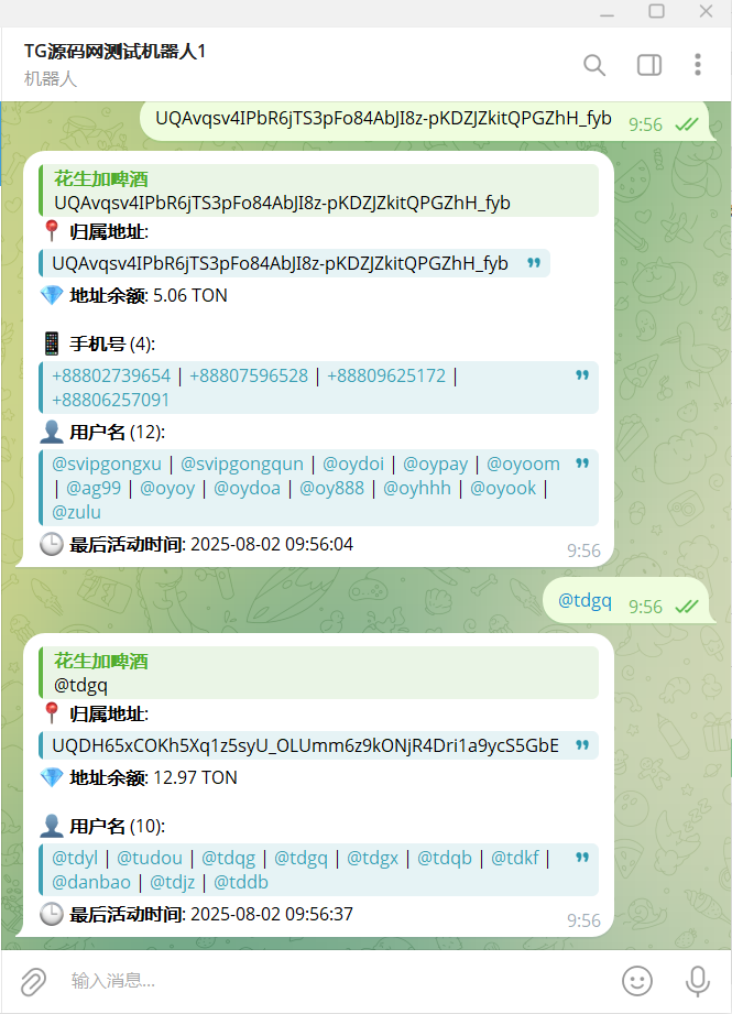 TON多功能查询机器人源码|亲测源码|Telegram区块链查询/NFT资产解析|Node.js|带视频搭建教程